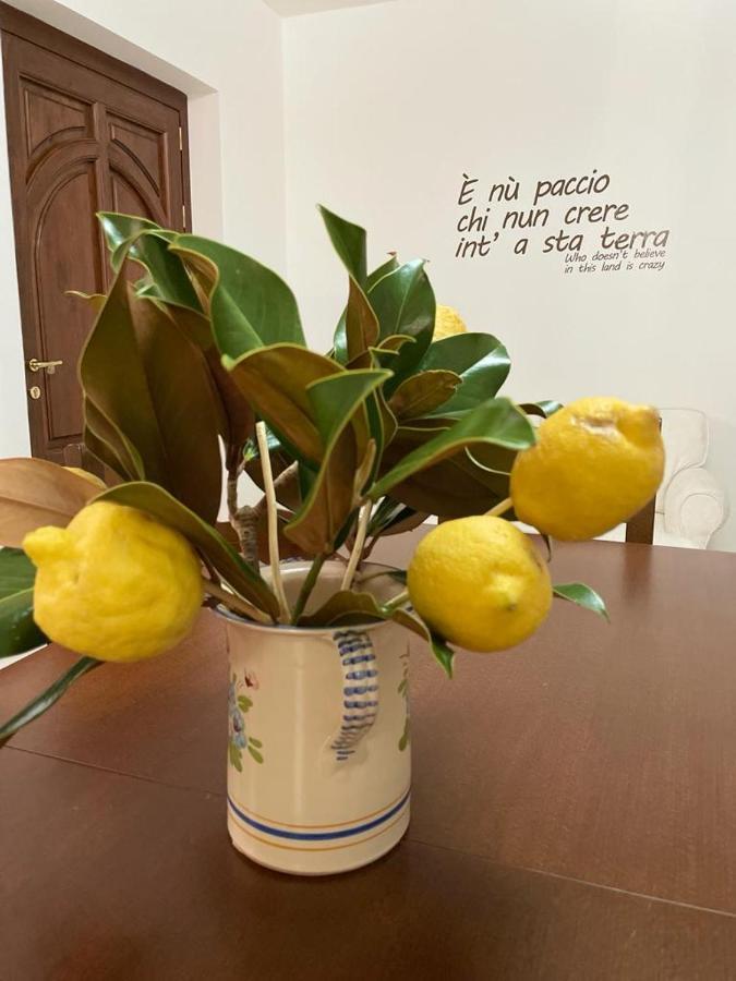 B&B Casa Letizia Trentinara Ngoại thất bức ảnh